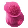 The Bloom Rechargeable Tickle Vibe - Pink